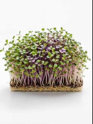 Microgreem