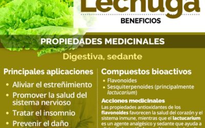 Beneficios del consumo de Lechugas