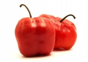 Aji Rocoto Kilo
