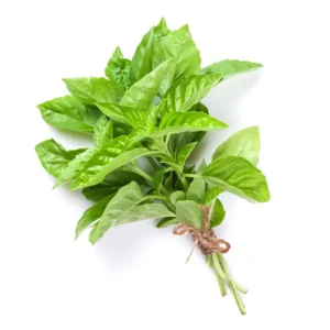 Albahaca Fresca Kilo