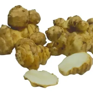 Papa Topinambur  kilo