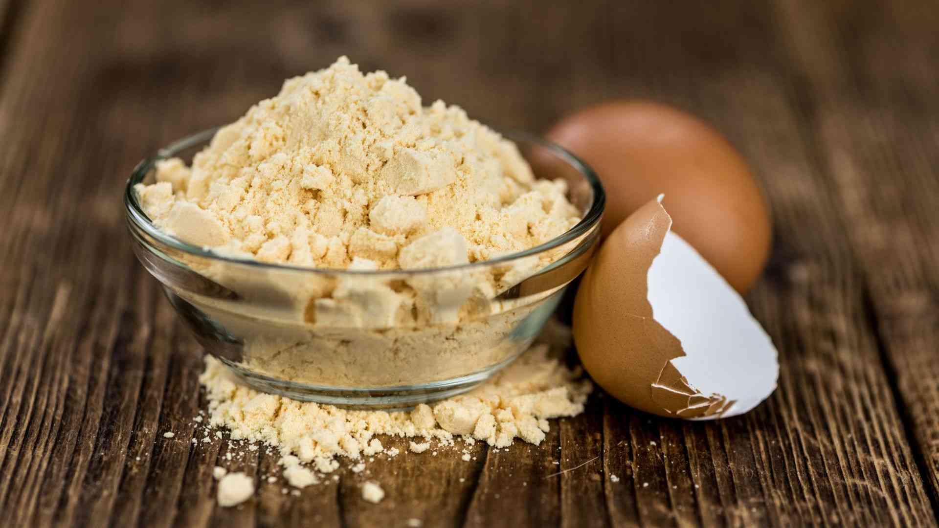 Huevos Deshidratados 500grs Unidad