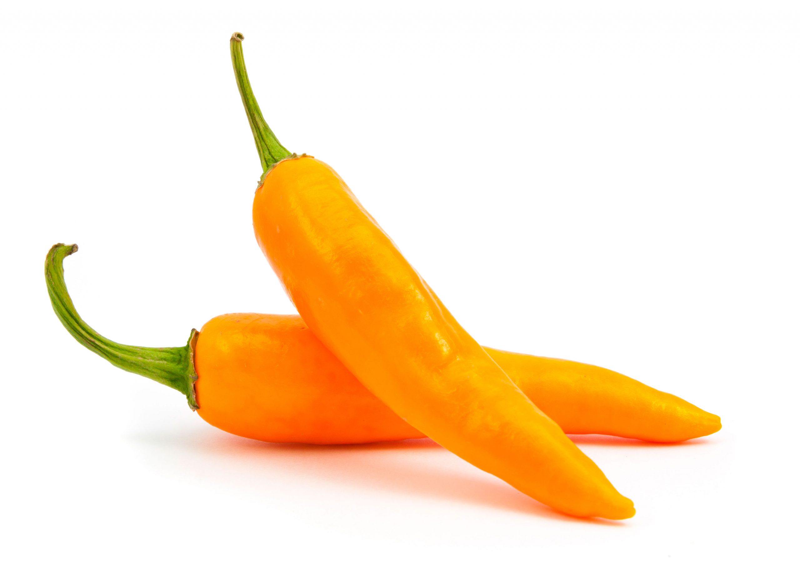 Aji Amarillo Peruano Kilo