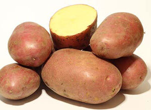 Papas Lavadas Astrid  kilo