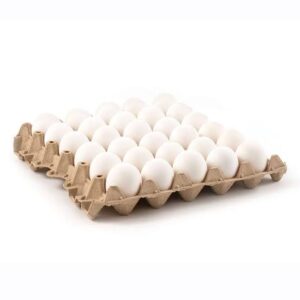 Huevos Extra Blanco KILO