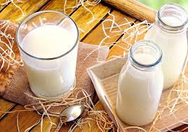 Leche Entera SIN LACTOSA Litro