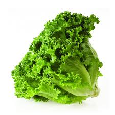 Lechuga Escarola Unidad