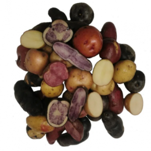 Papas Chilota MIX Kilo