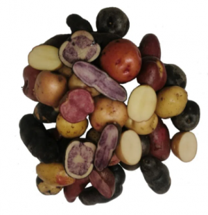 Papas Chilota MIX Kilo